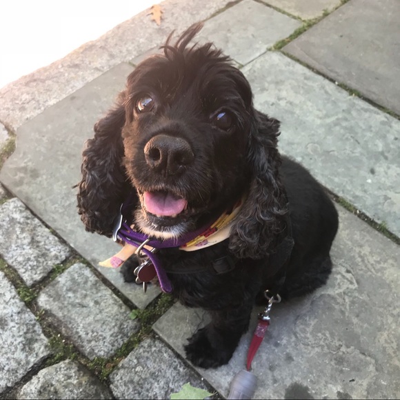 Meet your Posher, Christina - Picture 5 of 8